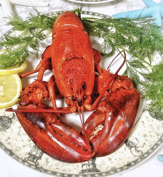お取り寄せ 生きて届いたオマールエビで豪華おうちディナー もぐもぐビレッジ 実食 口コミ ブログ くろにゃんの孤高のグルメ だめだめダイエット お取り寄せ 生きて届いたオマールエビで豪華おうちディナー もぐもぐビレッジ 実食 口コミ ブログ くろにゃんの孤高のグルメ だめだめダイエット