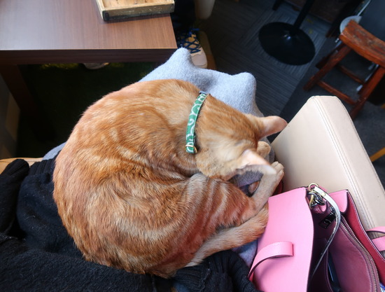 0998C4D8-5476-4302-80AF-063A94B545FE