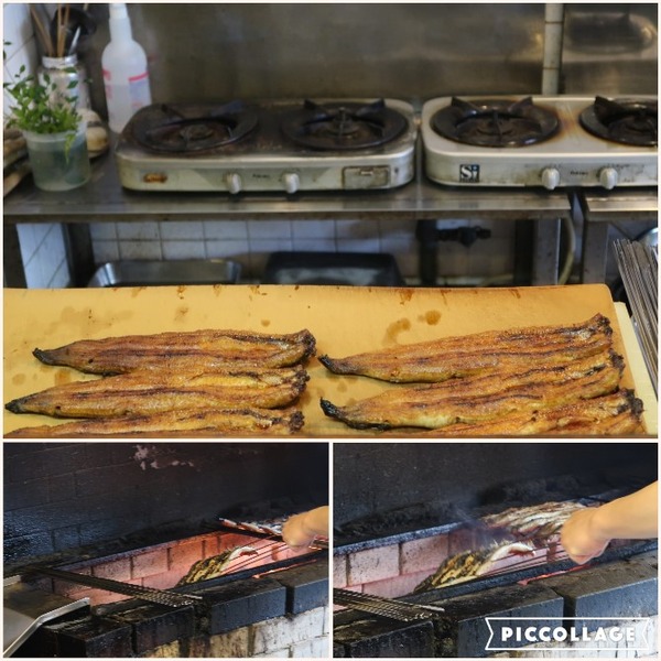 Collage 2017-08-19 07_26_19