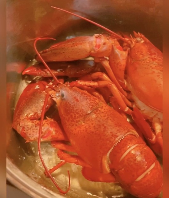 3E6A48DC-8D36-41F5-B320-7B49BE4F455E