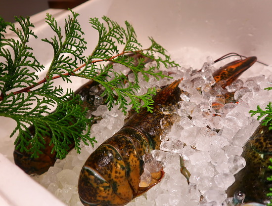 DE949EED-D73A-4ABF-8079-BF056B94E5E5