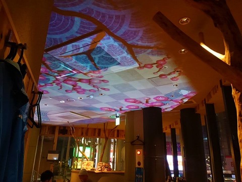 17554139_1238610366253861_8260800953799415974_n