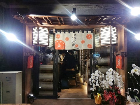 KIMG3019 (2)