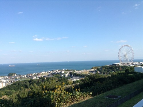 IMG_1179 (640x478)