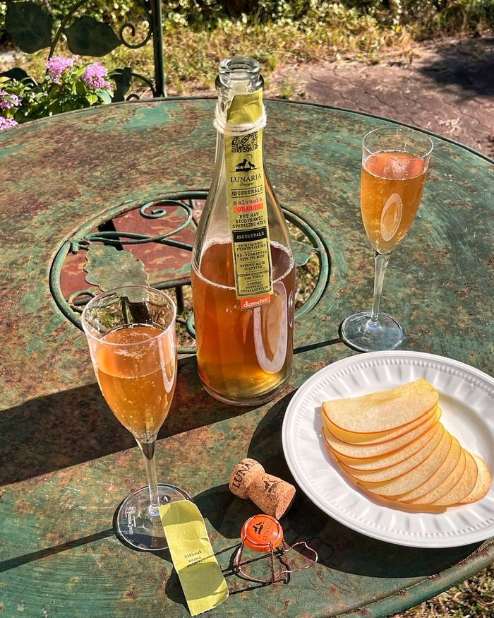 4F5B4E07-F605-4E9C-B93B-EBA062ED1D78