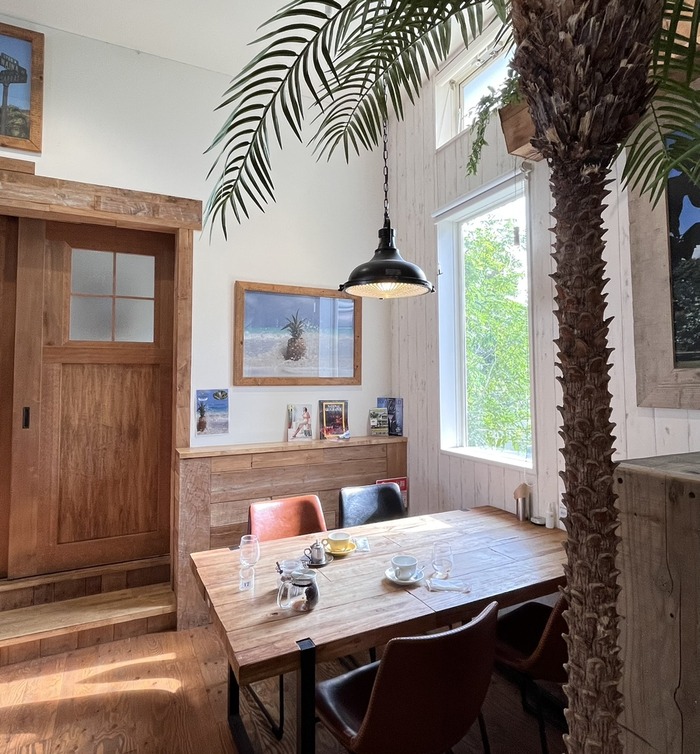 49EF2EF5-DBEB-415C-A49B-E5F8DE080FF1