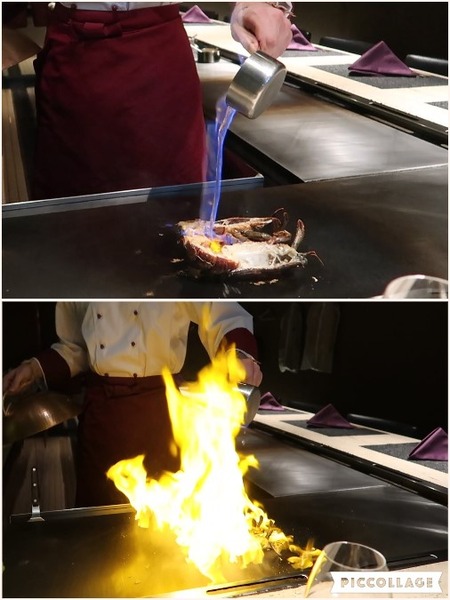 Collage 2017-11-08 08_49_52