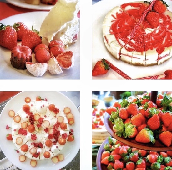 EFDF022A-A3AA-40EC-91C6-26EDB32E8AC7