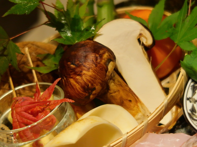 F250E750-27AF-42D6-A4FF-0C83E652F6BA