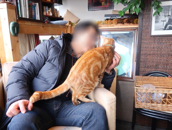 68E7163D-321C-46A6-B8B3-6E6F9AA696CB