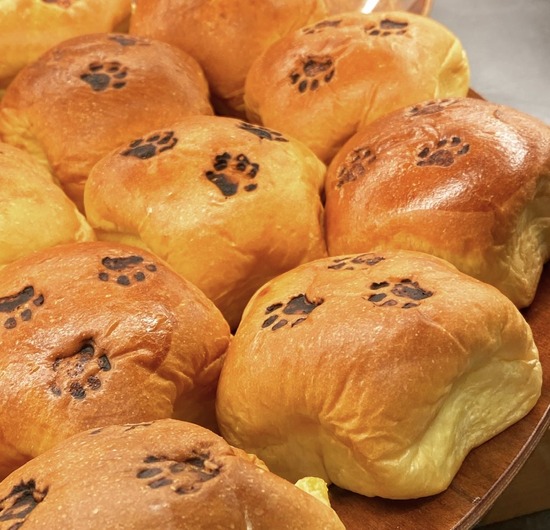 E38E0643-4B03-4024-B749-472A46A8397C