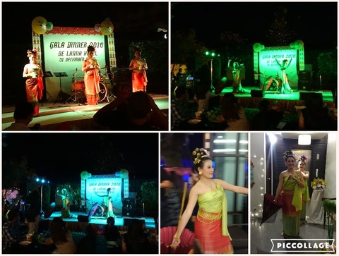 Collage 2017-01-17 23_21_03