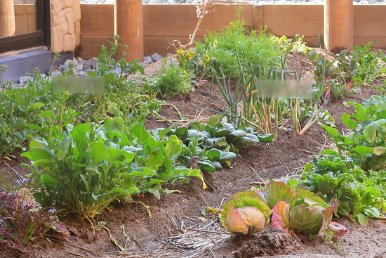 E8DB6926-D51C-4AE2-A83F-747A8C8DD60F