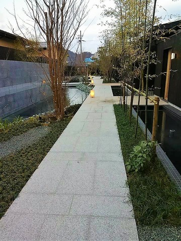 17630024_1237581686356729_2881113014859630546_n