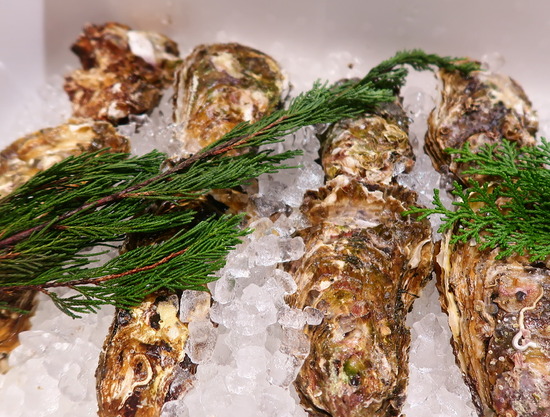 75C546D1-F891-4441-AD0E-6EF8D80D87BF