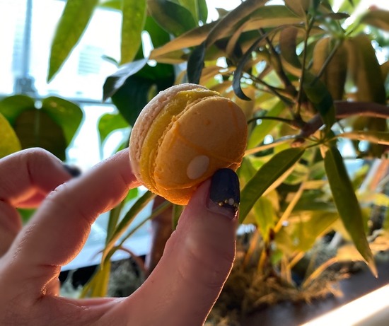 EB528AB1-BCEA-4600-AF0E-7FA457991B5C