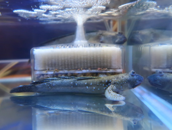 760A8D80-304F-4655-9E83-B1FAEC33D437