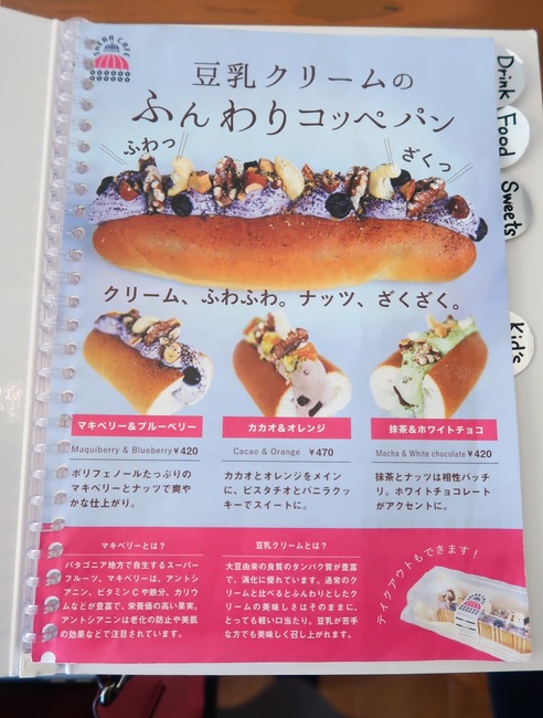 4B264478-E738-42C9-8178-9BD42DB4306E