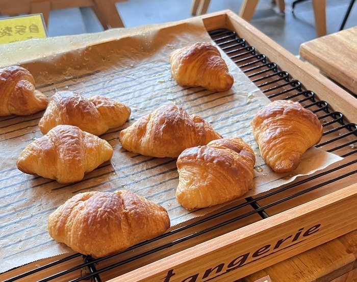 CB2E7E2D-EC28-481A-87DB-302E17482EE9