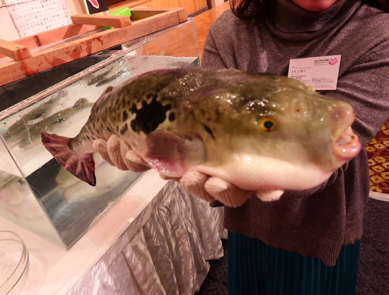 994C24CE-8D49-4CD6-9BB7-B8129ED8AEC0