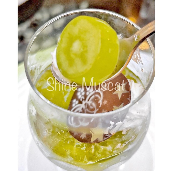 299771283_1743911922655370_2159161426343322309_n