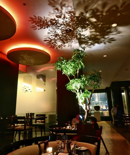 CD734353-4C9F-476C-B618-319B1F383304