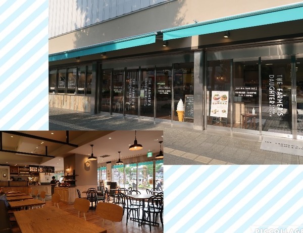 Collage 2017-06-24 14_16_41