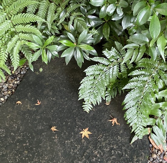 FBE73429-83D2-4AF7-83E8-04555DF7FEB8