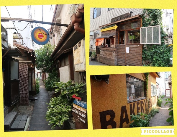 Collage 2017-06-24 12_09_49