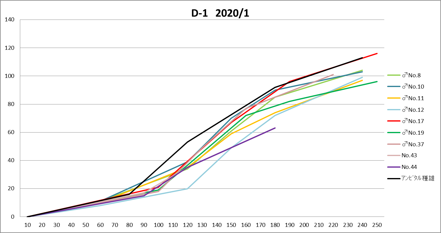 ソウルシルバー 交換 イメージポケモンコレクション