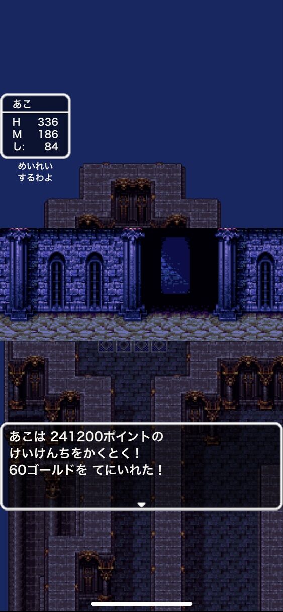 クロエレナ独録 スマホ版ドラクエ３ 自己満足やり込みの旅 番外編 しんりゅう５ターン撃破