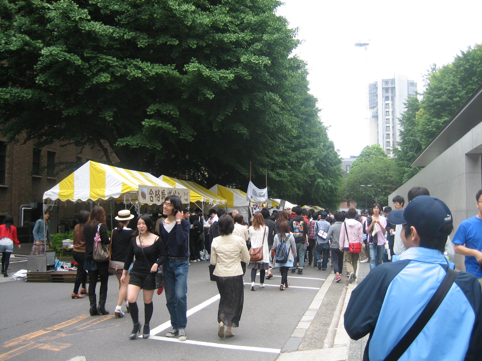 東京大学五月祭 家事と英語と大学生の生活