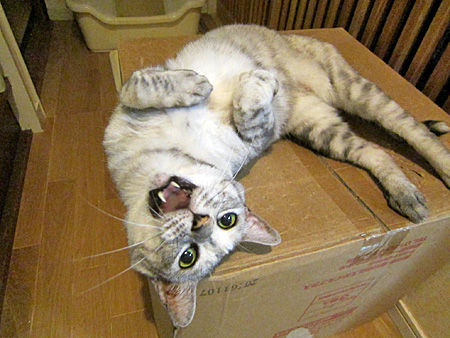 まみ
