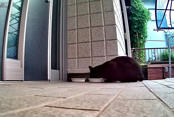 3691771426_1699255184900