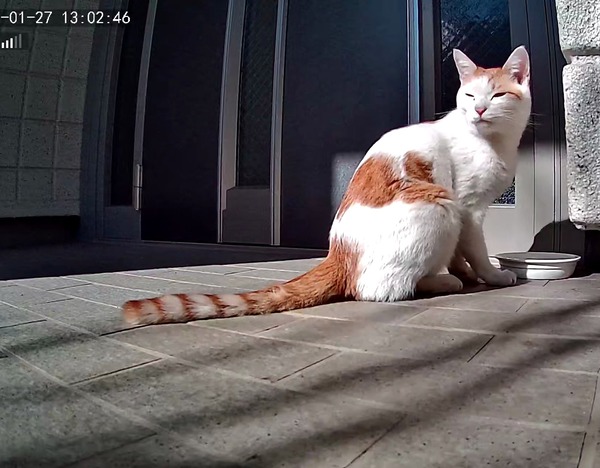 3691771426_1706331894400