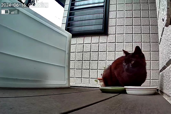 3691771426_1718518556337