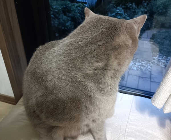 IMG_20251224_163334_1