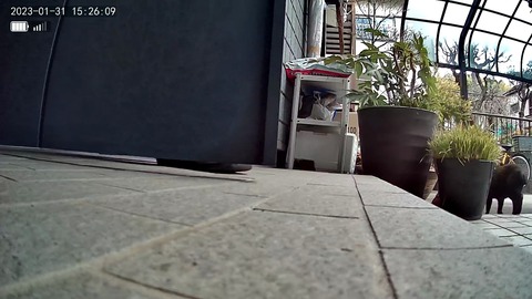 3691771426_1675146919716