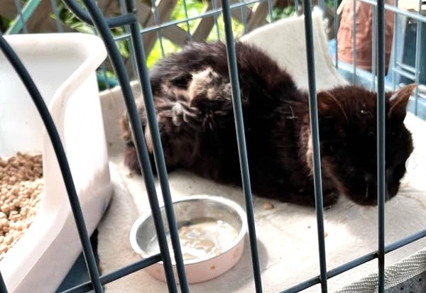 スクリーンショット_1-6-2025_185644_www.instagram.com