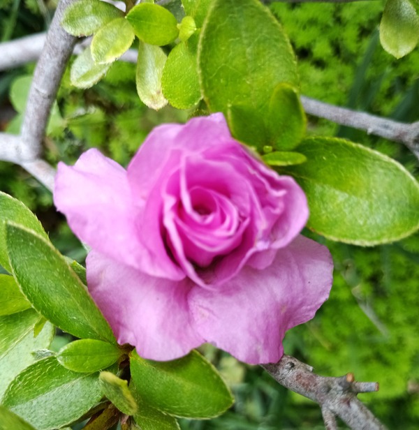 IMG_20250607_162142_1