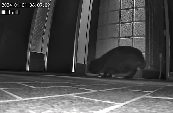 3691771426_1704098130699