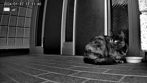 3691771426_1706343451044