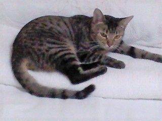 c0402989_18255083 (1)