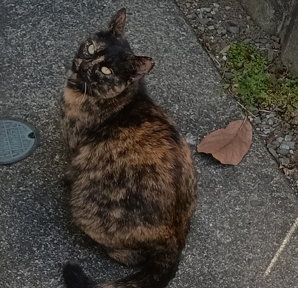 IMG_20250113_142932_1