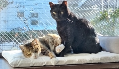KIMG0406