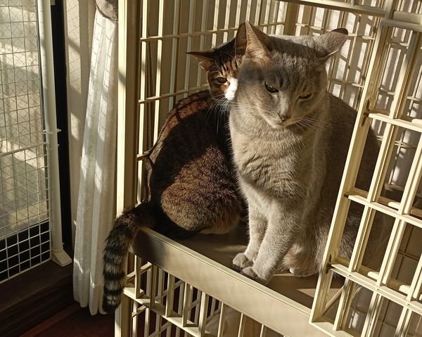 IMG_20251128_081420_1