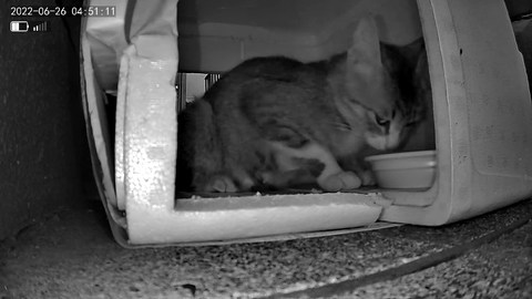 3691771426_1656187744064