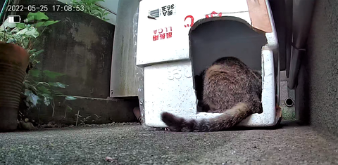 3691771426_1653475103018