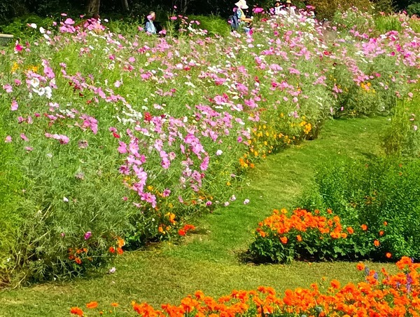 IMG_20251008_121122_1