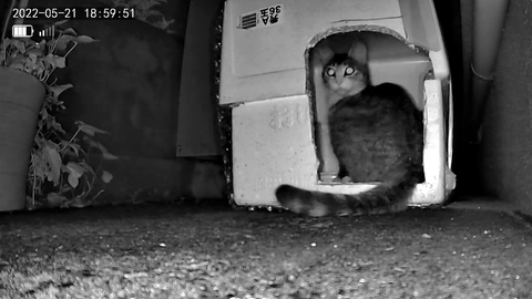 3691771426_1653128208483